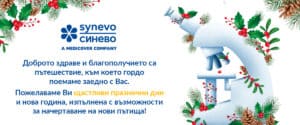 Holiday Card synevo 1200x500px